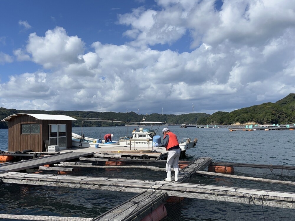 仮屋湾での釣果です♪の画像