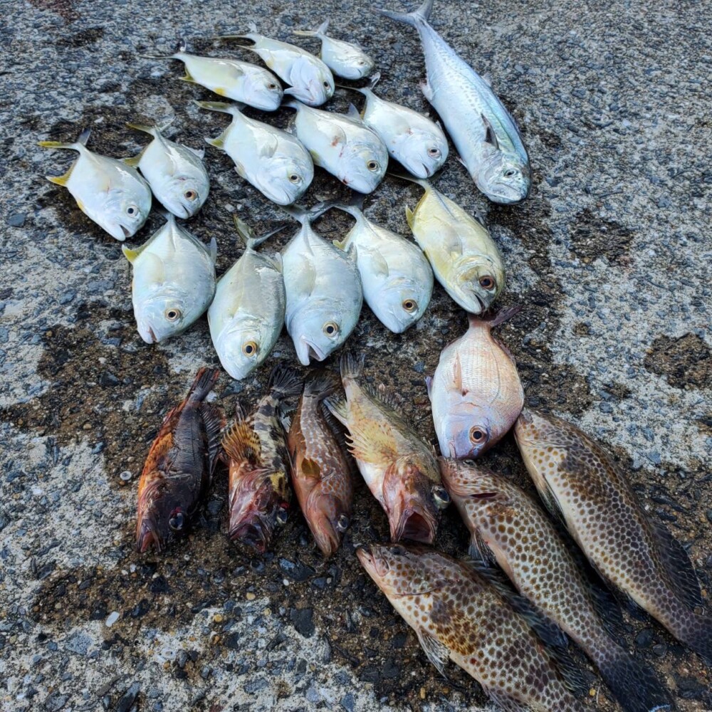 五島のチヌ釣り大会に行って来ました。 チヌはボーズでした^ ^の画像