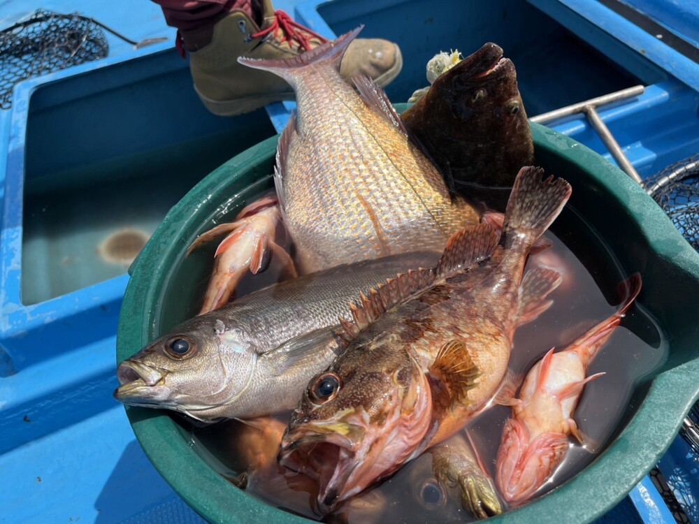 九十九島の釣りの画像