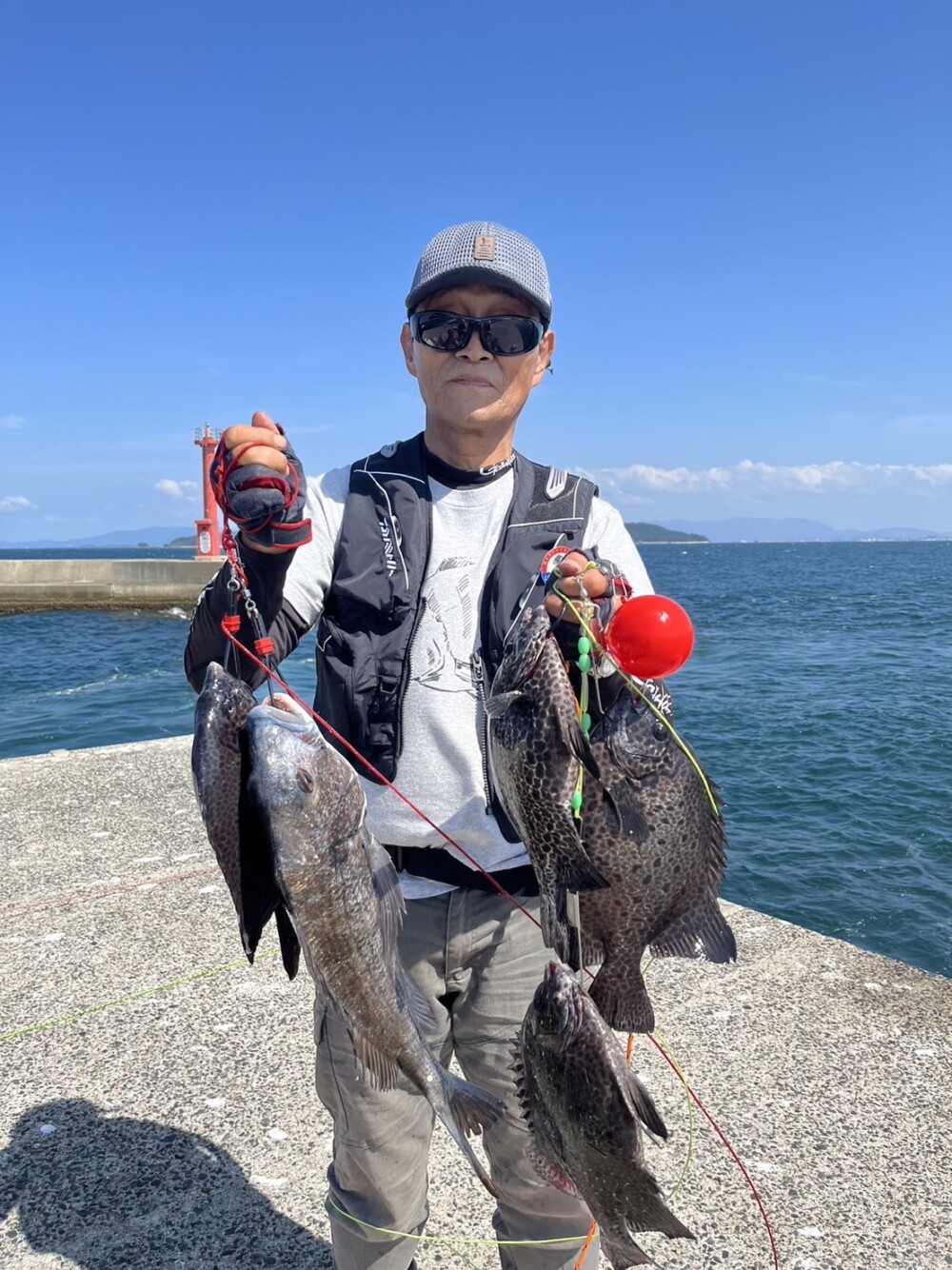 石鯛釣りに行って来ました^ ^。の画像