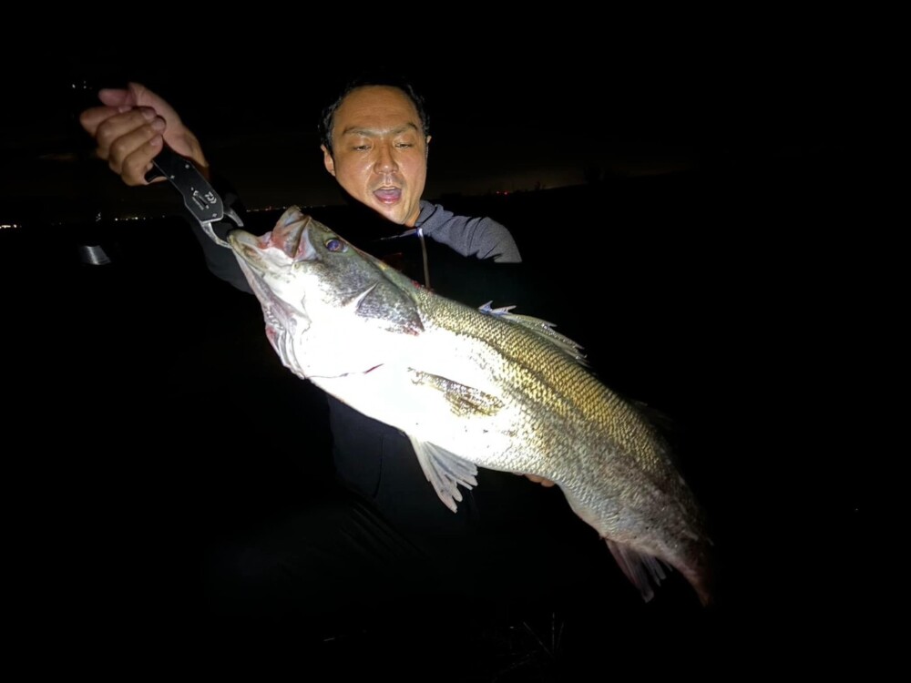 一年振りに息子とシーバス釣りに… 行って来ました^ – ^。の画像