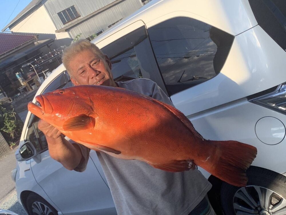 ここひと月の釣果です。の画像
